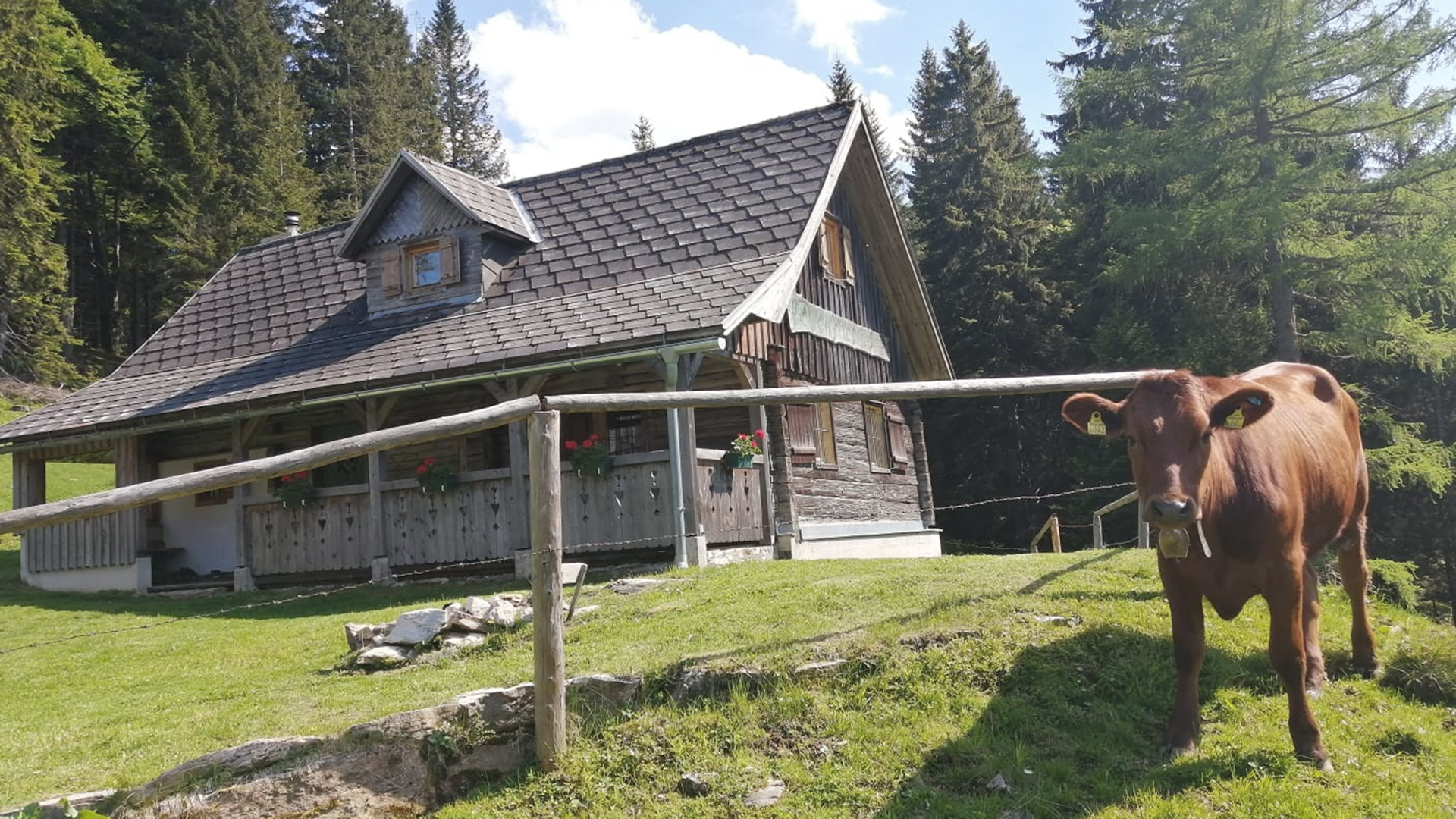 Almhütte Rosenthal